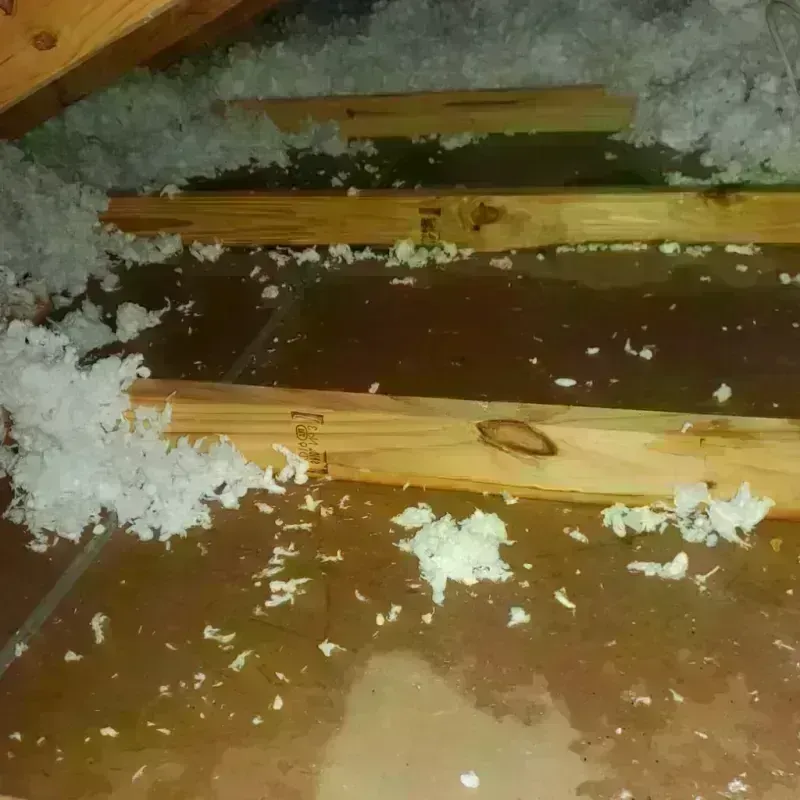 Attic Water Damage in Harrison, MI