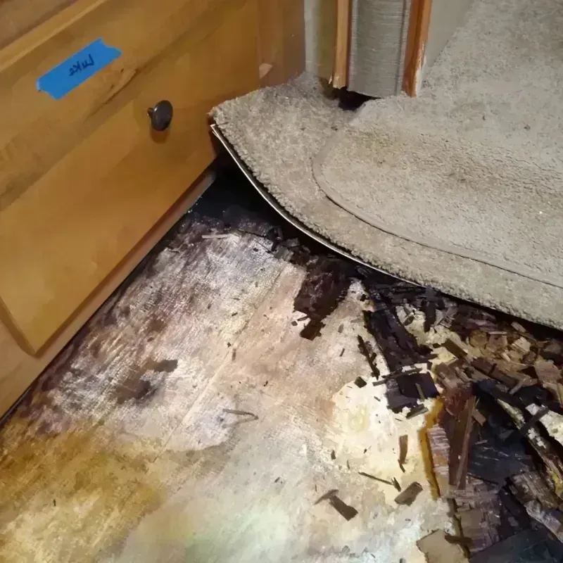 Wood Floor Water Damage in Harrison, MI